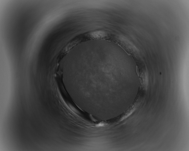 X0000097850762200803201538