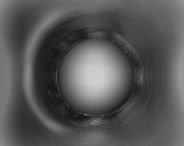 X0000097850764200803201538