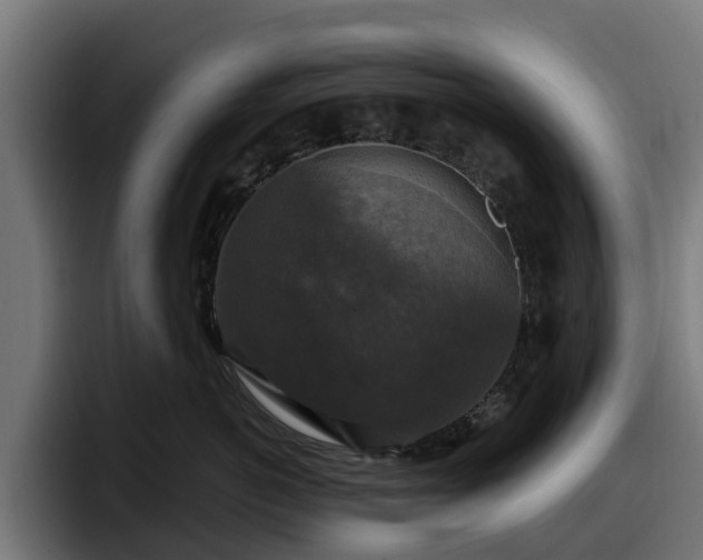 X0000097850766200803201538
