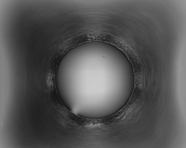 X0000097850770200803201537