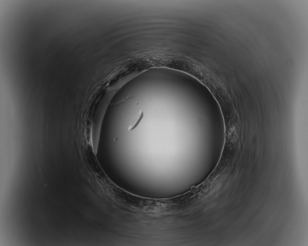 X0000097850772200803201537
