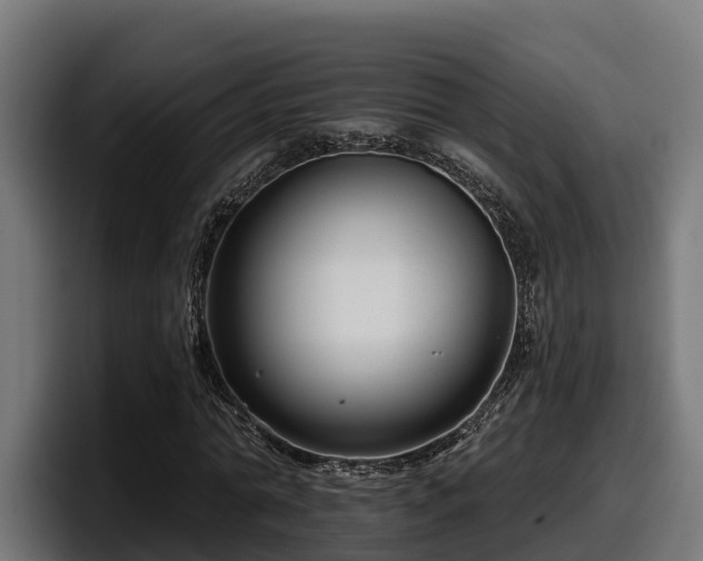 X0000097850774200803201537