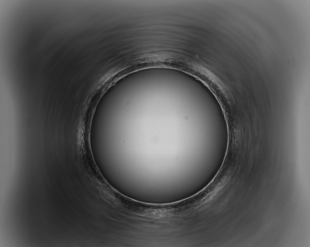 X0000097850778200803201537