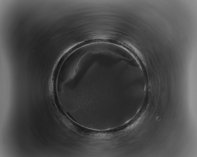 X0000097850779200803201537