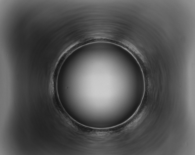 X0000097850782200803201537
