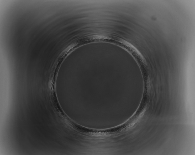 X0000097850785200803201537