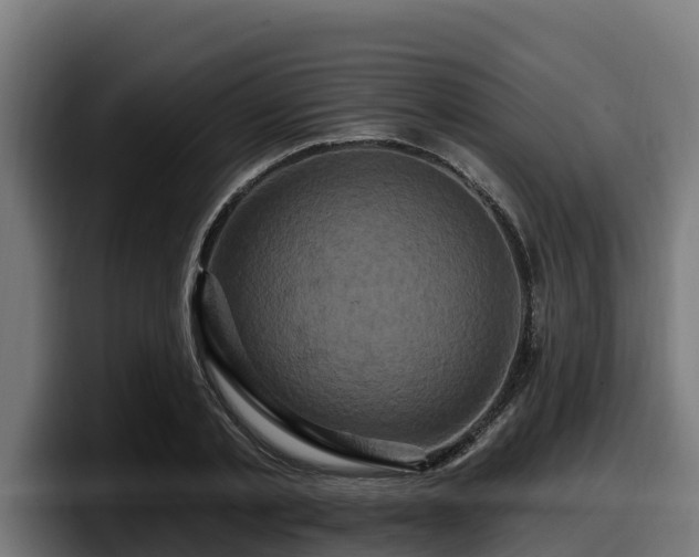 X0000097850789200803201537