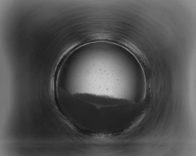 X0000097850790200803201537