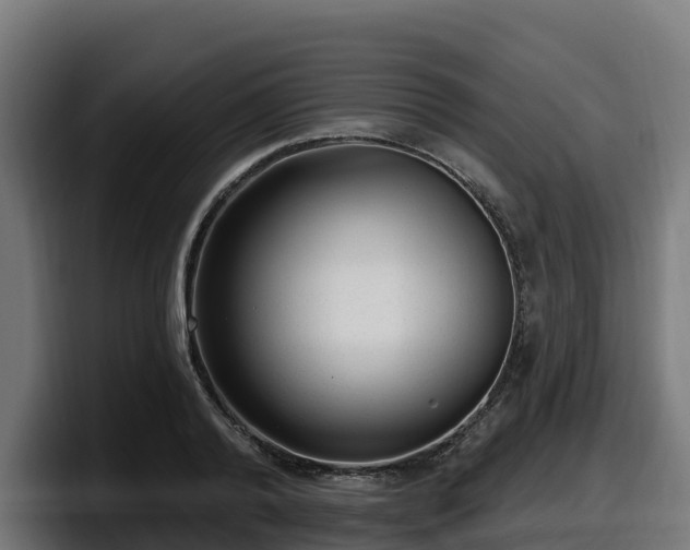 X0000097850792200803201537