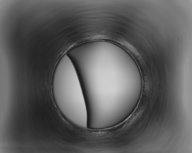 X0000097850793200803201537