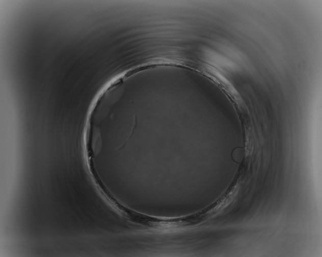X0000097850796200803201537