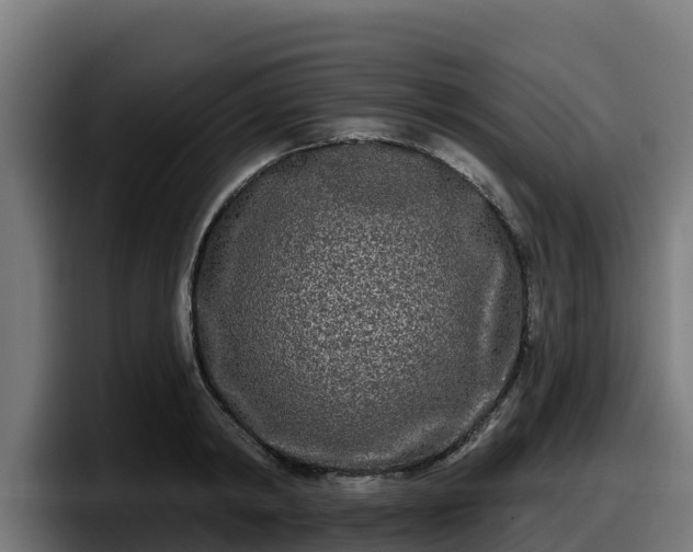 X0000097850798200803201537