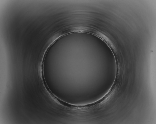X0000097850802200803201537