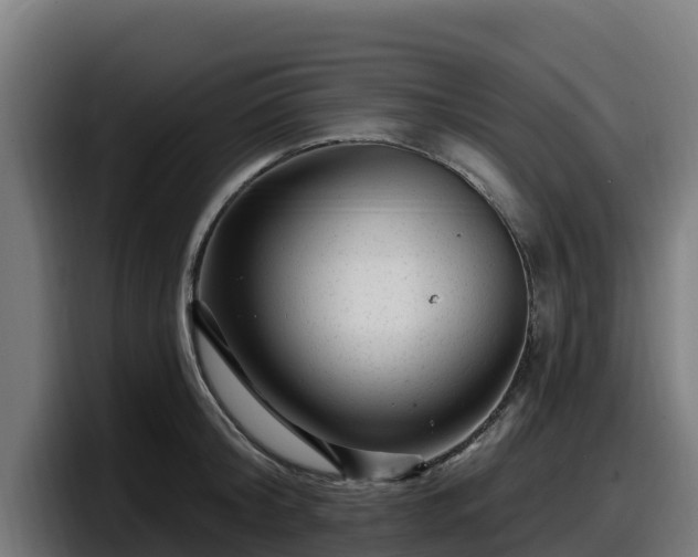X0000097850804200803201537