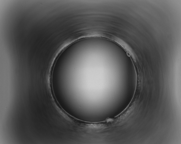 X0000097850805200803201537
