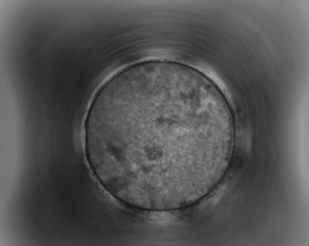 X0000097850807200803201537