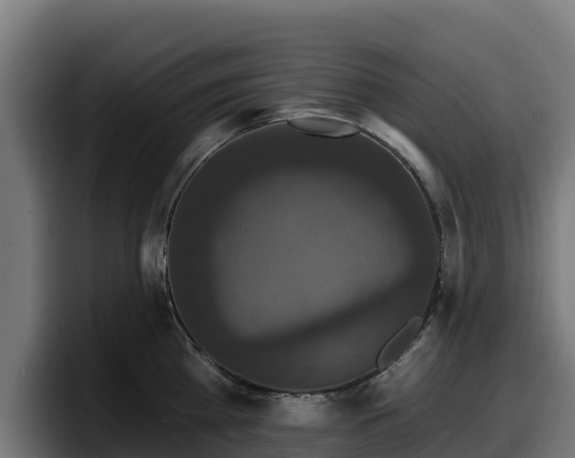 X0000097850809200803201537