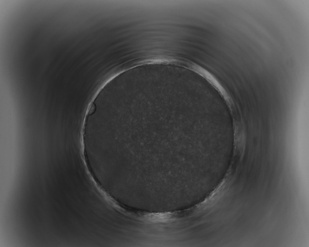 X0000097850810200803201537