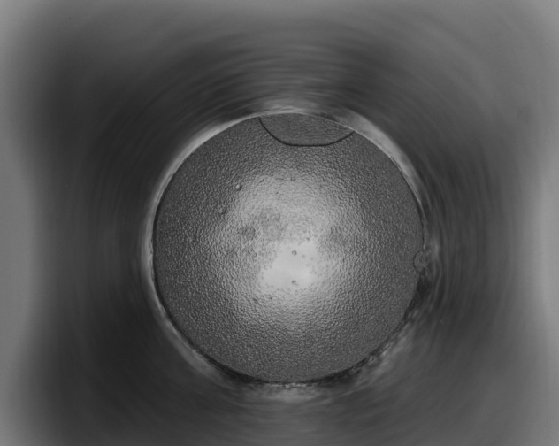 X0000097850811200803201537