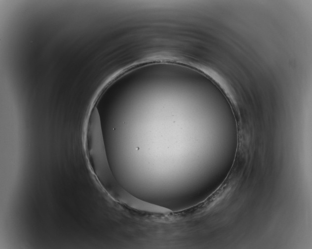 X0000097850815200803201536