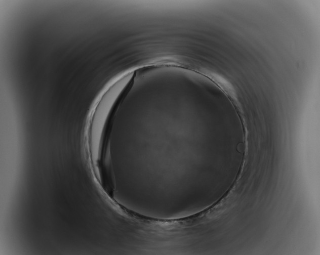 X0000097850816200803201536