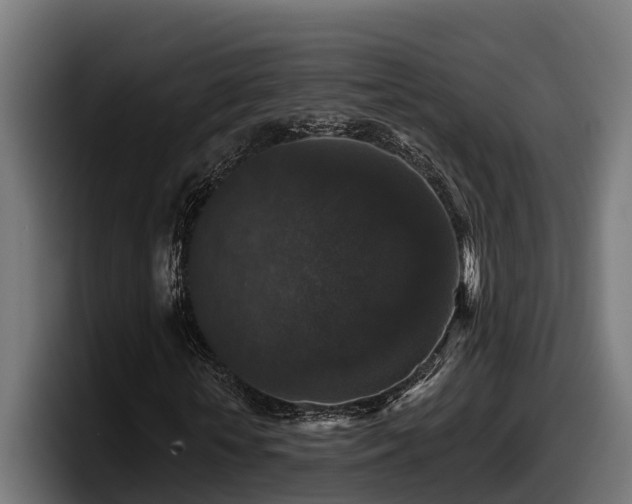 X0000097850818200803201536