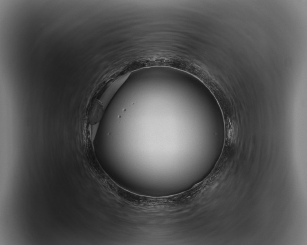X0000097850819200803201536