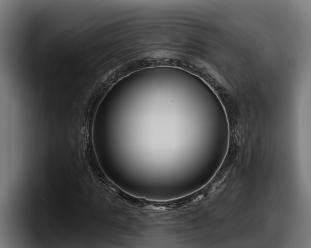 X0000097850821200803201536