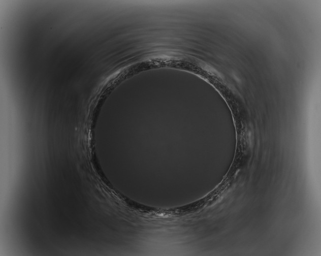 X0000097850822200803201536