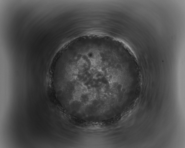 X0000097850823200803201536