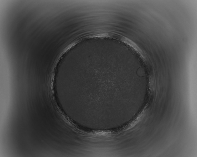X0000097850826200803201536