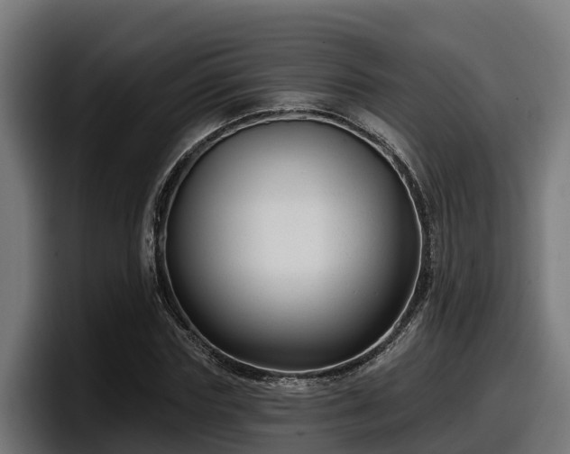 X0000097850827200803201536