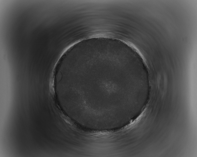 X0000097850830200803201536