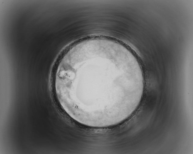 X0000097850832200803201536