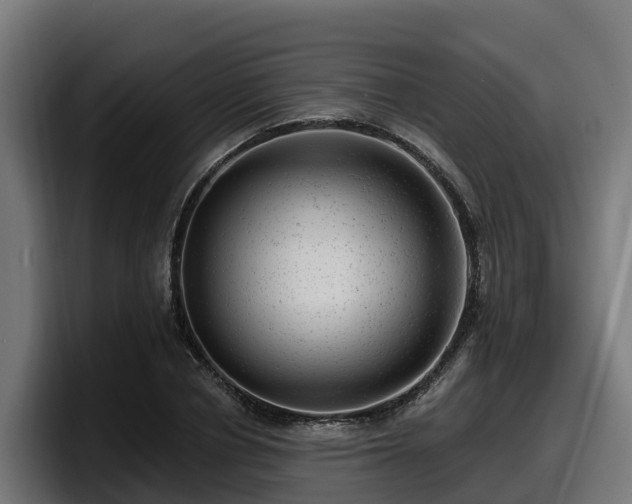 X0000097850834200803201536