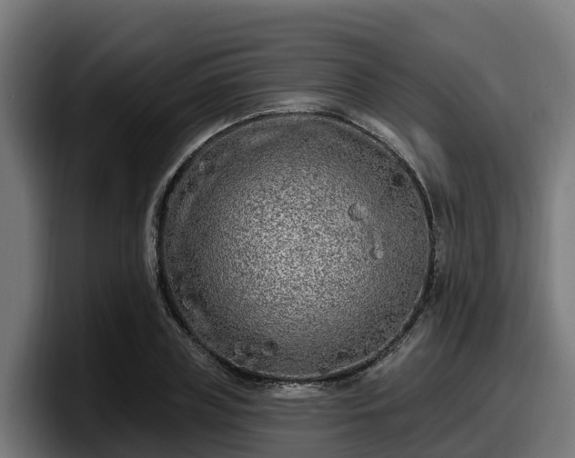 X0000097850835200803201536