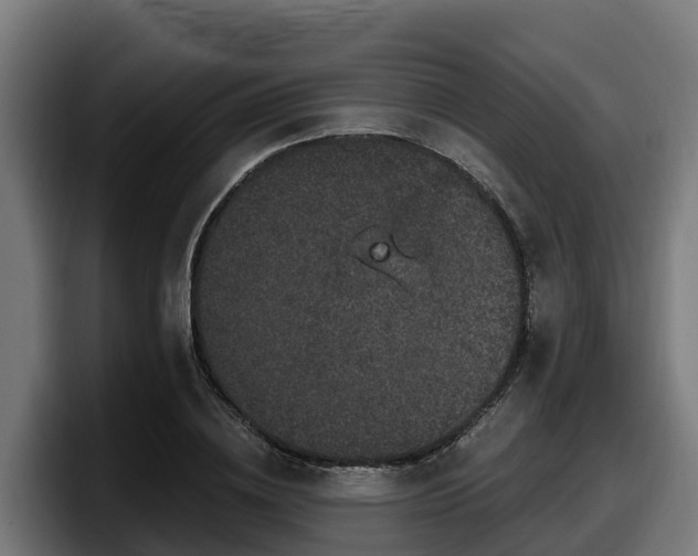 X0000097850836200803201536