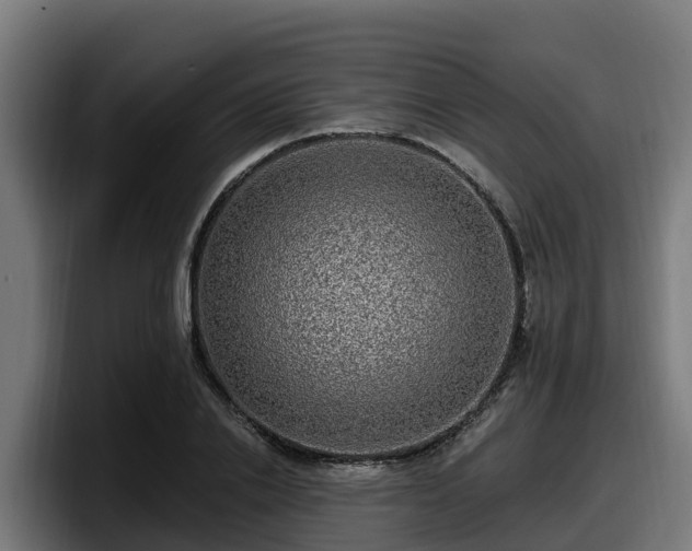 X0000097850838200803201536
