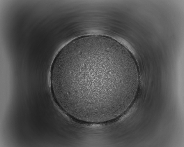 X0000097850839200803201536
