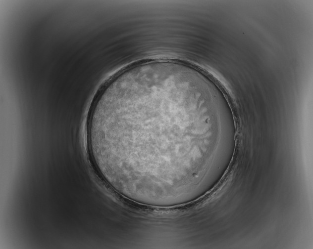 X0000097850840200803201536