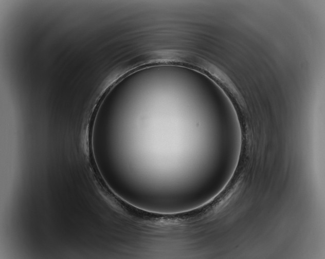 X0000097850842200803201536
