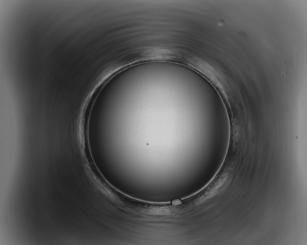 X0000097850843200803201536