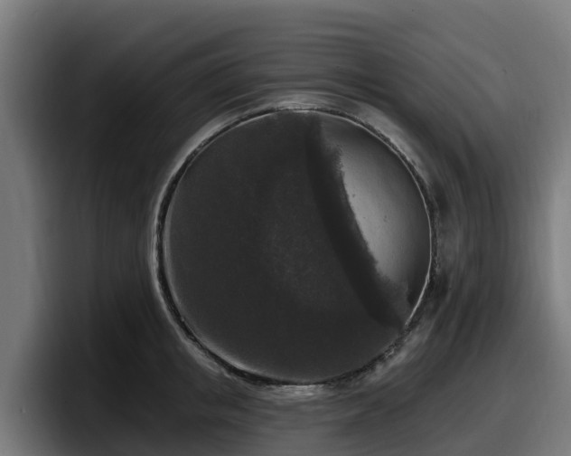 X0000097850853200803201536