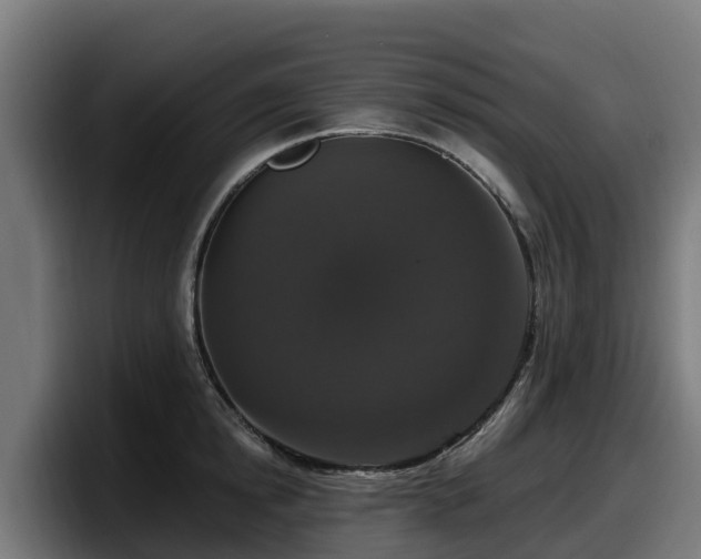 X0000097850854200803201536