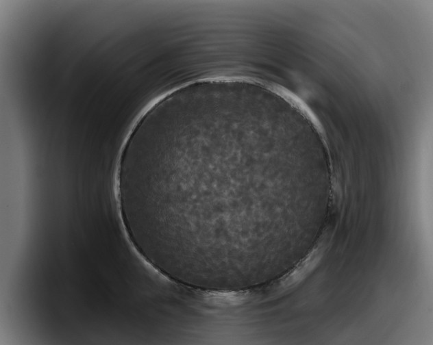 X0000097850855200803201536