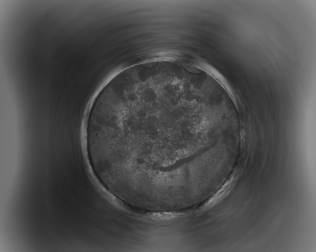 X0000097850859200803201536