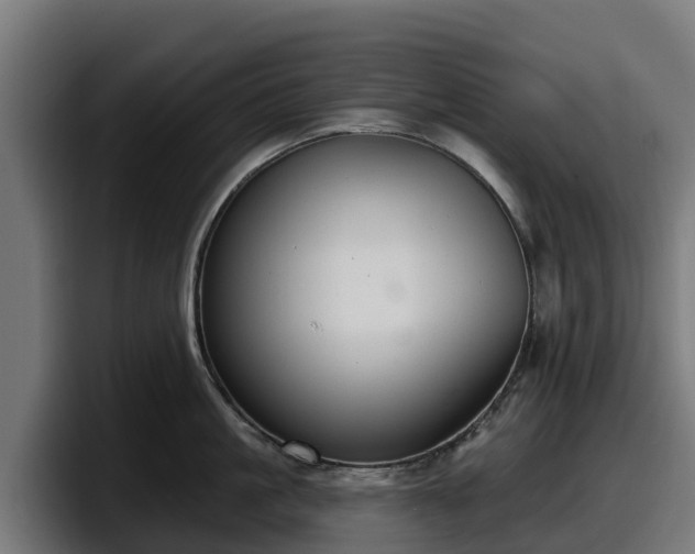 X0000097850861200803201536
