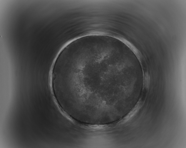 X0000097850862200803201536