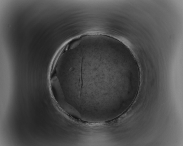 X0000097850864200803201536
