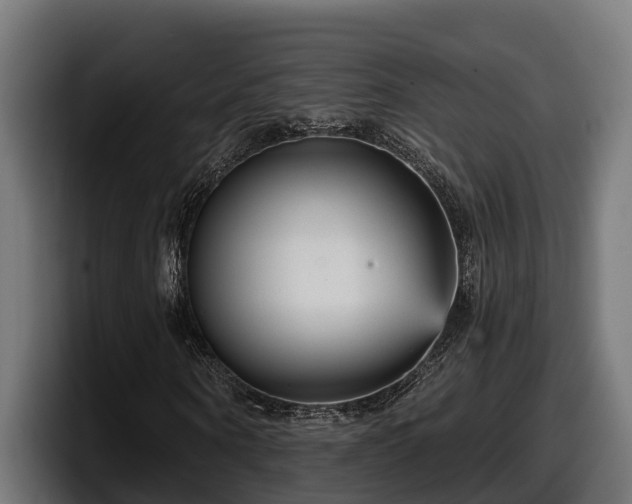 X0000097850866200803201536